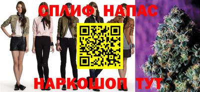 прущие грибы Тверь